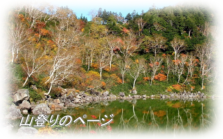 �R�o��̃y�[�W