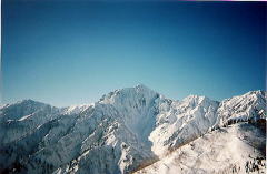 ������������̎�����