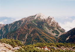 ����䂩��̍b���