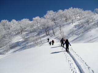 ���q���򂩂���R